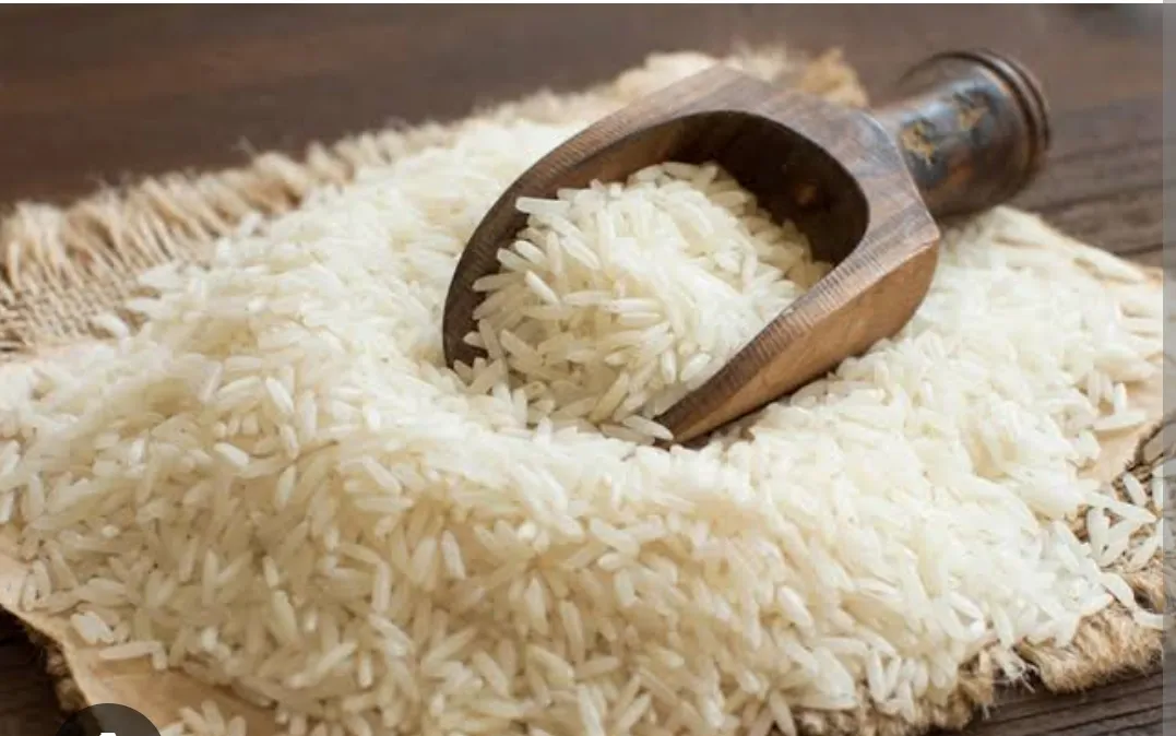 Long Grain Basmati Rice Supplier – Direct from Indian Farms